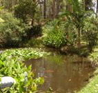 Tallowood Ridge B and B - Accommodation in Brisbane