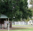 Warialda Caravan Park - Accommodation in Brisbane