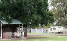 Warialda Caravan Park - Accommodation in Brisbane 0