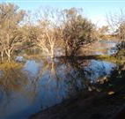 Warrawong on the Darling - Accommodation in Brisbane