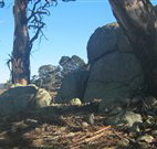 Warreen Farmstay Rural Accommodation - Accommodation in Brisbane