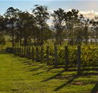 H Boutique Hotel - Pokolbin - Accommodation in Brisbane