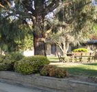 Hamilton Hume Motor Inn - Yass - Accommodation in Brisbane