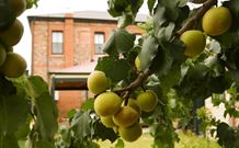 Imperial Fine Accommodation - Broken Hill - Accommodation in Brisbane 7