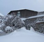 Knockshannoch Ski Lodge - Charlotte Pass - Accommodation in Brisbane