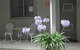 Pine Lodge Motel - Woolgoolga - thumb 0