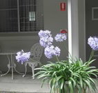 Pine Lodge Motel - Woolgoolga - Accommodation in Brisbane