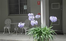 Pine Lodge Motel - Woolgoolga - Accommodation in Brisbane 0