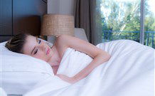 Remington Motor Inn - Muswellbrook - Accommodation in Brisbane 0