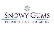 Snowy Gums Chalet - Smiggin Holes - Accommodation in Brisbane 2