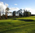 Tenterfield Golf Club and Fairways Lodge - Tenterfield - Accommodation in Brisbane