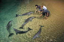 Moreton Island QLD Accommodation in Brisbane