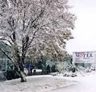 Maneroo Motel - Accommodation in Brisbane