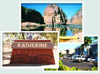 Red Gum Tourist Park - Accommodation in Brisbane 0