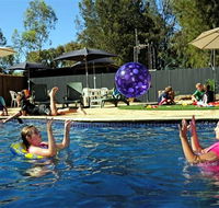 Kingston On Murray Caravan Park - Accommodation in Brisbane