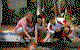 Daydream Island Resort And Spa - thumb 3