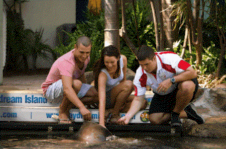 Daydream Island Resort And Spa - Accommodation in Brisbane 3