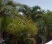 Ballina Beach Resort - Accommodation in Brisbane 4