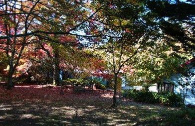 Kubba Roonga Blackheath - Accommodation in Brisbane 4