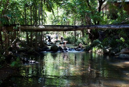 Cedar Creek Lodges - Accommodation in Brisbane 5