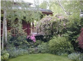 FINCHES OF BEECHWORTH - Accommodation in Brisbane 1