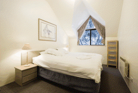 The Lantern Apartments - Accommodation in Brisbane 2