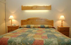 Best Western Fawkner Airport Motor Inn & Serviced Apartments - Accommodation in Brisbane 1