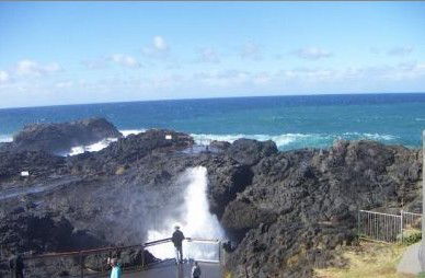 Kiama Ocean View Motor Inn - Accommodation in Brisbane 1