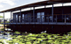 Australis Diamond Beach Resort & Spa - thumb 4