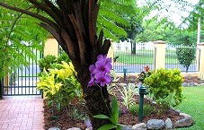 Waterfront Terraces - Accommodation in Brisbane 1