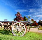 The Oaks Ranch and Country Club - Mossy Point - Accommodation in Brisbane