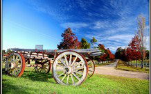 The Oaks Ranch And Country Club - Mossy Point - Accommodation in Brisbane 0