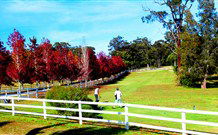 The Oaks Ranch And Country Club - Mossy Point - Accommodation in Brisbane 1