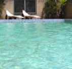 Toreador Motel - Coffs Harbour - Accommodation in Brisbane
