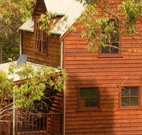 Barrington Tops Organic Retreat - Accommodation in Brisbane