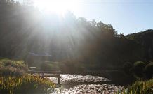 Blair Athol Estate - Accommodation in Brisbane 0