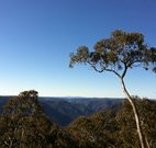 Coach Cottage - Accommodation in Brisbane
