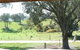 Hosanna Farm Retreat - thumb 0