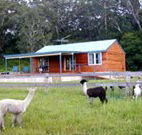 Moorallie Cottage Farm Stay - Accommodation in Brisbane