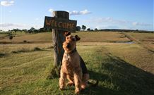 Rocky Mountains - Accommodation in Brisbane 7