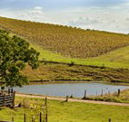 Sanctuary Hill Retreat - Accommodation in Brisbane