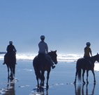 Whispering Brook - Accommodation in Brisbane