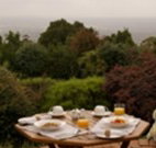 Barefoot Springs Bed and Breakfast