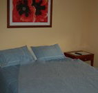Busy Buzz - Accommodation in Brisbane