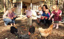 Chiltern Lodge Country Retreat - Accommodation in Brisbane 1