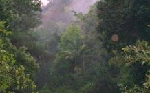 Havans Ecotourist Retreat - - Accommodation in Brisbane 0