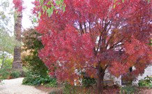 Langford House B&B - Accommodation in Brisbane 4