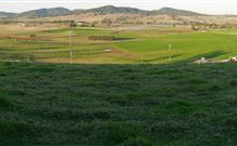 Leconfield House - Accommodation in Brisbane 0