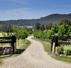 Pemberley Grange Hunter Valley Getaway - Accommodation in Brisbane