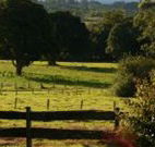 Pines on the Plateau - Accommodation in Brisbane